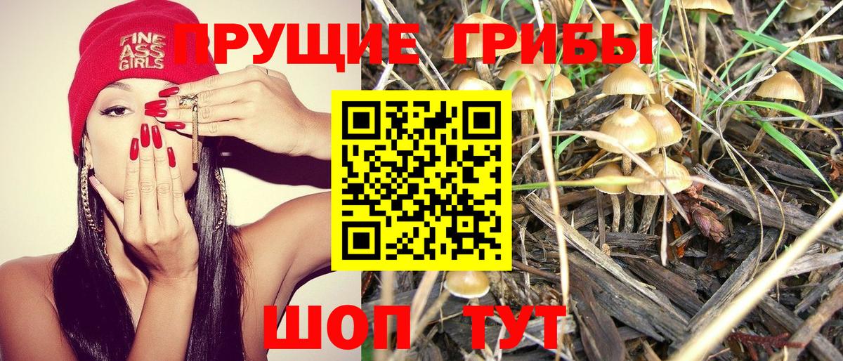 Галлюциногенные грибы прущие грибы  Вход с VPN  купить наркотики цена  Звенигород 