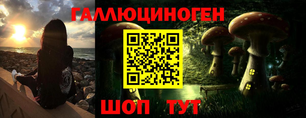 Псилоцибиновые грибы Psilocybe Звенигород